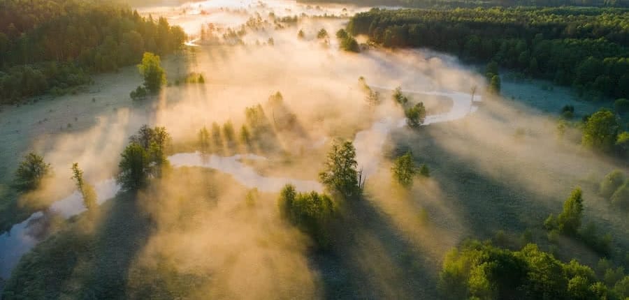 aerial view of landscape with trees and river with fog