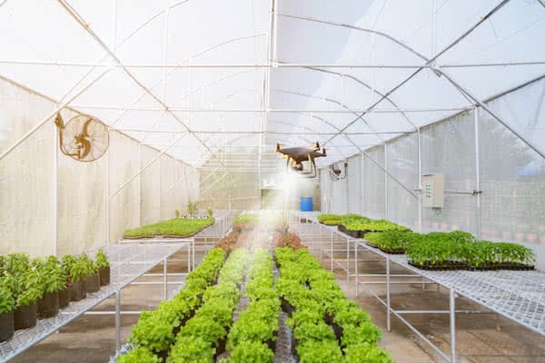 greenhouse being fumigated with industrial drone