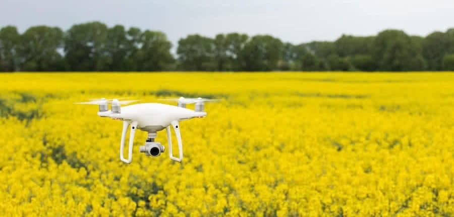 a dji phantom 4 drone flying above a yellow flowery with green trees in the background